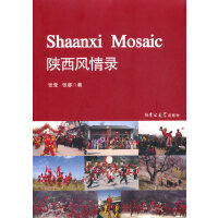 L(fng)=Shaanxi Mosaic:Ӣ