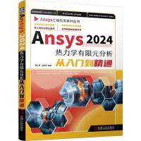 Ansys2024W(xu)ԪTͨ