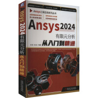 Ansys 2024ԪT(mn)ͨ