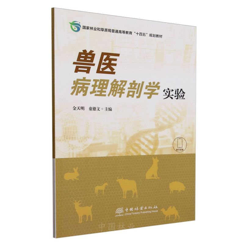 Ft(y)ʌW(֘I(y)ͲԭͨߵȽʮҎ(gu)̲)