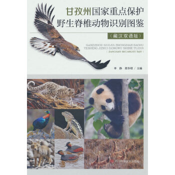  ݇(gu)c(din)o(h)Ұ׵(dng)R(sh)eDb