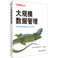 大規(guī)模數(shù)據(jù)管理