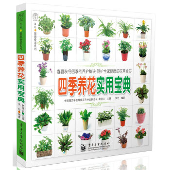 �ļ��B(y��ng)�����Ì��䣨ȫ�ʣ�