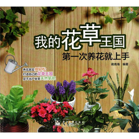 �ҵĻ�������