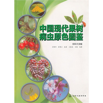 ЇF(xin)䲡xԭɫDb(ȫʴȫ)