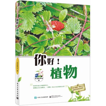 ��ã�ֲ�ȫ�ʣ�