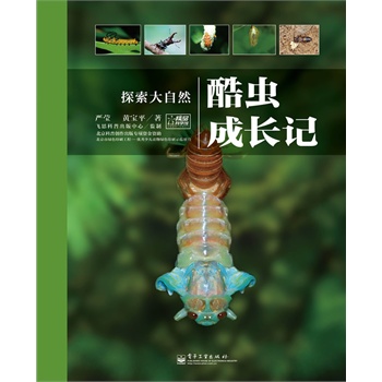 ���x���Lӛ�����b�棩��ȫ�ʣ�